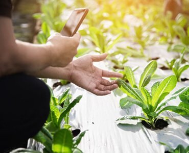 Soil Testing Importance