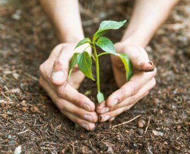 Organic Farming Vision