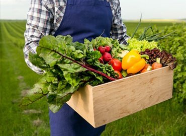 Organic Farming