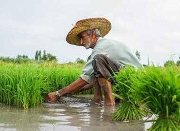 Modern Agriculture
